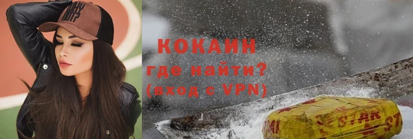 индика Красноперекопск